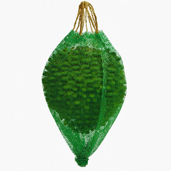 کیسه محافظ خرما