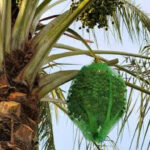 کیسه توری بسته بندی پرتقال