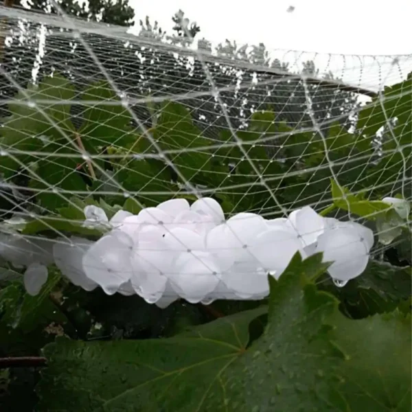 شبکه توری ضد تگرگ