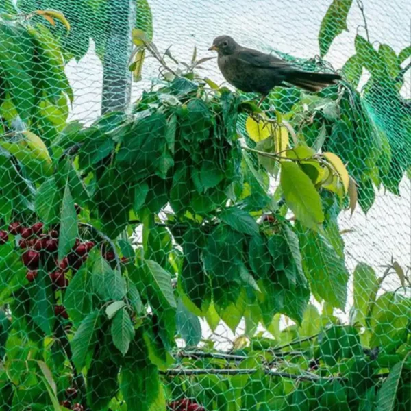 شبکه توری ضد پرنده