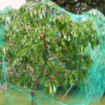 شبکه توری ضد پرنده