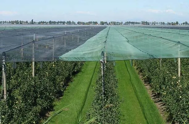 توری سایبان در کشاورزی