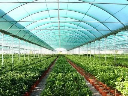 توری سایبان گلخانه