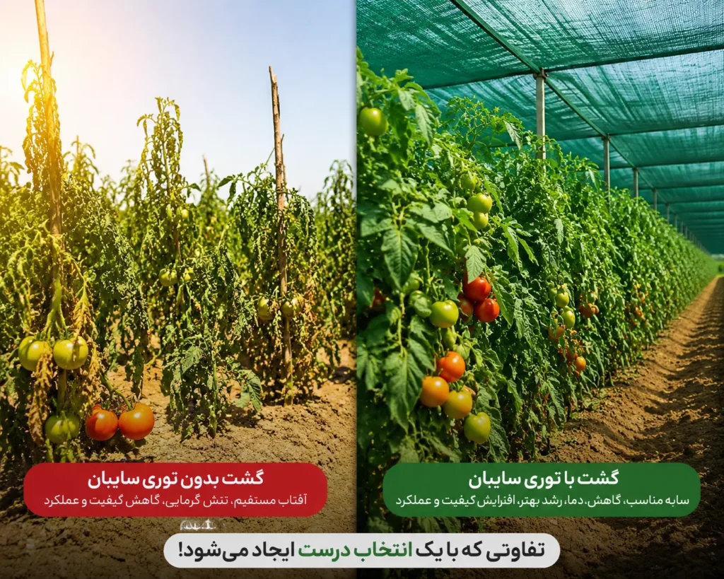 توری سایبان مناسب برای گوجه فرنگی