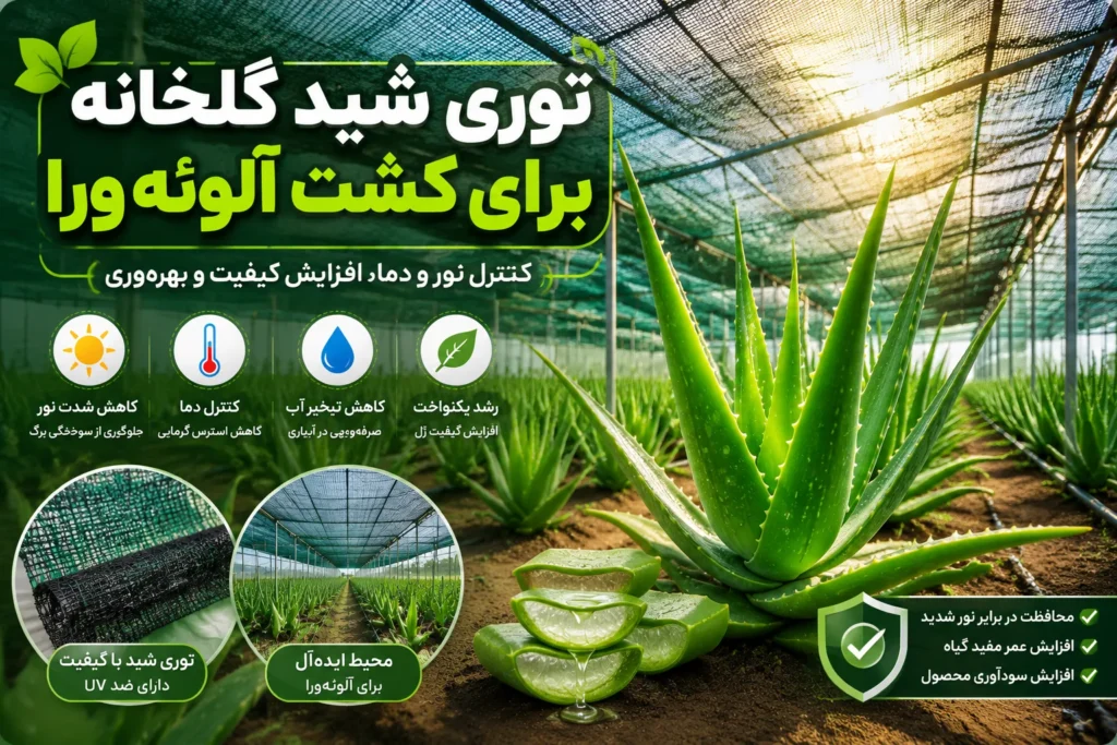 توری شید گلخانه برای کشت آلوئه ورا